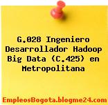 G.028 Ingeniero Desarrollador Hadoop Big Data (C.425) en Metropolitana