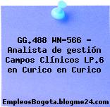 GG.488 WN-566 – Analista de gestión Campos Clínicos LP.6 en Curico en Curico