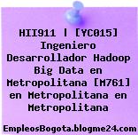 HII911 | [YC015] Ingeniero Desarrollador Hadoop Big Data en Metropolitana [M761] en Metropolitana en Metropolitana