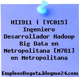 HII911 | [YC015] Ingeniero Desarrollador Hadoop Big Data en Metropolitana [M761] en Metropolitana