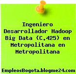 Ingeniero Desarrollador Hadoop Big Data (C.425) en Metropolitana en Metropolitana