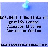 KAZ.541] | Analista de gestión Campos Clínicos LP.6 en Curico en Curico