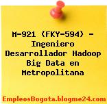 M-921 (FKY-594) – Ingeniero Desarrollador Hadoop Big Data en Metropolitana