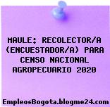 MAULE: RECOLECTOR/A (ENCUESTADOR/A) PARA CENSO NACIONAL AGROPECUARIO 2020