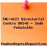 (NC-412) Director(a) Centro UAI+D – Sede Peñalolén