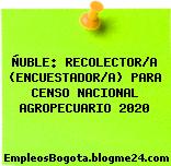 ÑUBLE: RECOLECTOR/A (ENCUESTADOR/A) PARA CENSO NACIONAL AGROPECUARIO 2020