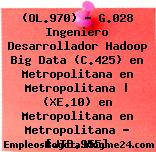 (OL.970) – G.028 Ingeniero Desarrollador Hadoop Big Data (C.425) en Metropolitana en Metropolitana | (XE.10) en Metropolitana en Metropolitana – [JTB.955]