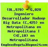 (OL.970) – G.028 Ingeniero Desarrollador Hadoop Big Data (C.425) en Metropolitana en Metropolitana | (XE.10) en Metropolitana