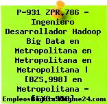 P-931 ZPR.786 – Ingeniero Desarrollador Hadoop Big Data en Metropolitana en Metropolitana en Metropolitana | [BZS.998] en Metropolitana – [EYG-958]