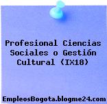 Profesional Ciencias Sociales o Gestión Cultural (IX18)