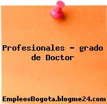 Profesionales – grado de Doctor