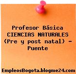 Profesor Básica CIENCIAS NATURALES (Pre y post natal) – Puente