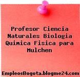 Profesor Ciencia Naturales Biologia Quimica Fisica para Mulchen