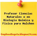 Profesor Ciencias Naturales o en Biologia Quimica y Fisica para Mulchen