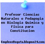 Profesor Ciencias Naturales o Pedagogia en Biologia Quimica y Física para Constitucion