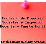 Profesor de Ciencias Sociales e Inspector Docente – Puerto Montt