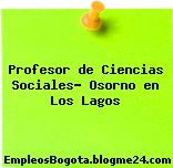 Profesor de Ciencias Sociales- Osorno en Los Lagos