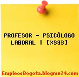 PROFESOR – PSICÓLOGO LABORAL | [XS33]