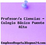 Profesor/a Ciencias – Colegio Básico Puente Alto