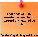 profesor(a) de enseñanza media / historia y ciencias sociales
