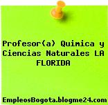 Profesor(a) Quimica y Ciencias Naturales LA FLORIDA