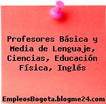Profesores Básica y Media de Lenguaje, Ciencias, Educación Física, Inglés