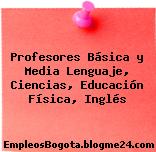 Profesores Básica y Media Lenguaje, Ciencias, Educación Física, Inglés