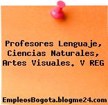 Profesores Lenguaje, Ciencias Naturales, Artes Visuales. V REG