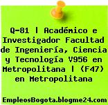 Q-81 | Académico e Investigador Facultad de Ingeniería, Ciencia y Tecnología V956 en Metropolitana | (F47) en Metropolitana