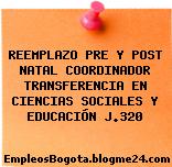 REEMPLAZO PRE Y POST NATAL COORDINADOR TRANSFERENCIA EN CIENCIAS SOCIALES Y EDUCACIÓN J.320