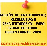 REGIÓN DE ANTOFAGASTA: RECOLECTOR/A (ENCUESTADOR/A) PARA CENSO NACIONAL AGROPECUARIO 2020