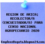 REGION DE ARICA: RECOLECTOR/A (ENCUESTADOR/A) PARA CENSO NACIONAL AGROPECUARIO 2020