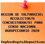 REGION DE VALPARAISO: RECOLECTOR/A (ENCUESTADOR/A) PARA CENSO NACIONAL AGROPECUARIO 2020