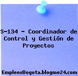 S-134 – Coordinador de Control y Gestión de Proyectos