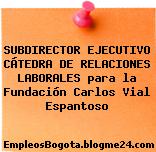 SUBDIRECTOR EJECUTIVO CÁTEDRA DE RELACIONES LABORALES para la Fundación Carlos Vial Espantoso