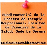 Subdirector(a) de la Carrera de Terapia Ocupacional, Facultad de Ciencias de la Salud, Sede La Serena