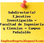 Subdirector(a) Ejecutivo Investigación – Facultad de Ingeniería y Ciencias – Campus Peñalolén
