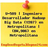U-589 | Ingeniero Desarrollador Hadoop Big Data (V207) en Metropolitana | (BW.906) en Metropolitana