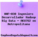 WWF-030 Ingeniero Desarrollador Hadoop Big Data – AKU762 en Metropolitana