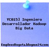 YC015] Ingeniero Desarrollador Hadoop Big Data