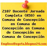 Z107 Docente Jornada Completa (R59) en Comuna de Concepción en Comuna de Concepción en Comuna de Concepción en Comuna de Concepción