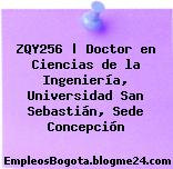 ZQY256 | Doctor en Ciencias de la Ingeniería, Universidad San Sebastián, Sede Concepción
