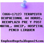 (866-1712) TERAPEUTA OCUPACIONAL 44 HORAS, REEMPLAZO PRE Y POST NATAL, UHCIP, HOSPITAL PENCO LIRQUEN