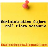 Administrativo Cajero – Mall Plaza Vespucio