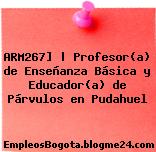 ARM267] | Profesor(a) de Enseñanza Básica y Educador(a) de Párvulos en Pudahuel