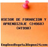 ASESOR DE FORMACION Y APRENDIZAJE (24968) (WT990)
