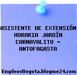 ASISTENTE DE EXTENSIÓN HORARIA JARDÍN CARNAVALITO – ANTOFAGASTA