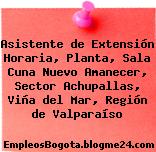 Asistente de Extensión Horaria, Planta, Sala Cuna Nuevo Amanecer, Sector Achupallas, Viña del Mar, Región de Valparaíso