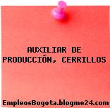 AUXILIAR DE PRODUCCIÓN, CERRILLOS