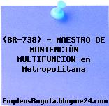 (BR-738) – MAESTRO DE MANTENCIÓN MULTIFUNCION en Metropolitana